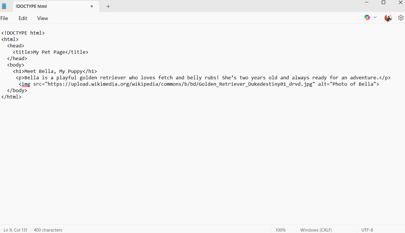 basic html code for inserting image