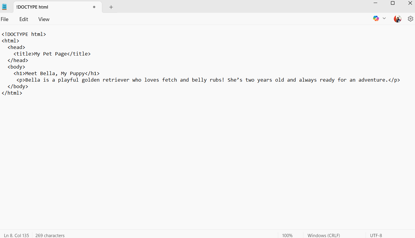 basic html code for paragraph